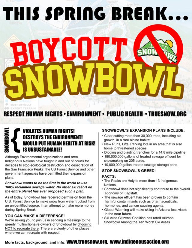 Arizona snowbowl essay picture