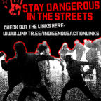 indigenous-action-protest-links